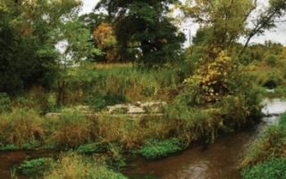 内置文章缩略图功能