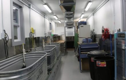 内置文章缩略图功能