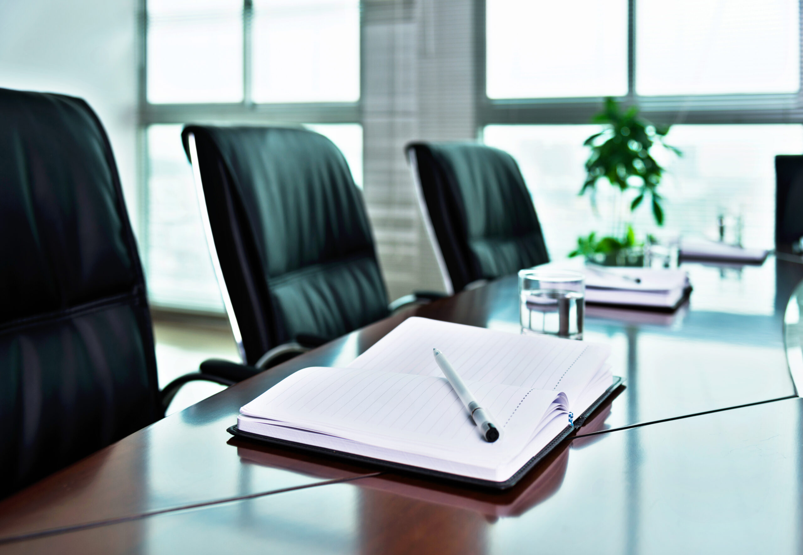 manbet体育滚球博朗Intertec董事会