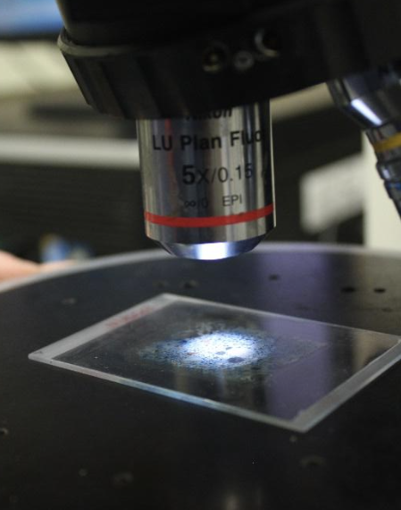 Captura de Pantalla 2022-05-04 A LA（S）12.53.16