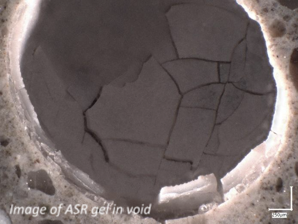 Captura de Pantalla 2022-05-04 A LA（S）12.55.05