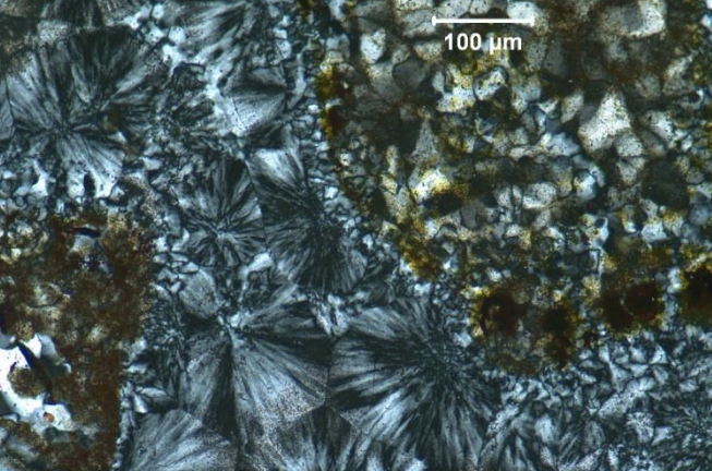 Captura de Pantalla 2022-05-06 A LA（S）14.45.06