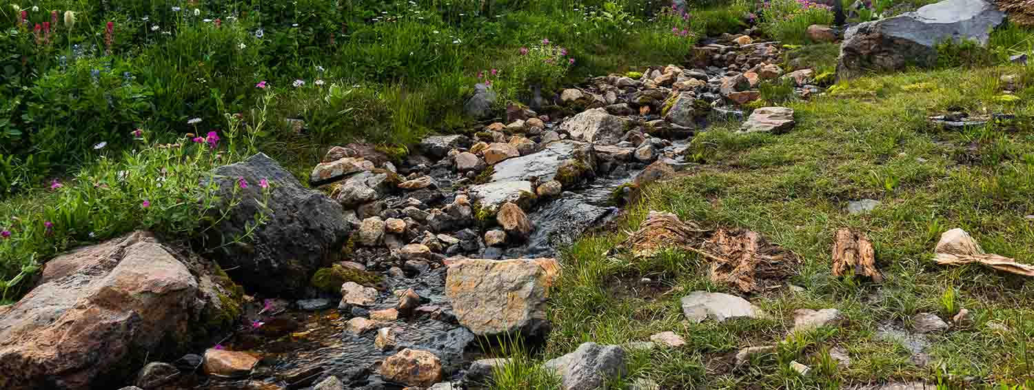 Waters Protection Rule